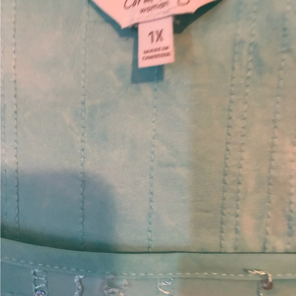 Coral Bay Light Aqua Embellished Tunic - Picture 4 of 5